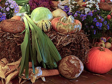 Zu sehen ist verschiedenes Gemüse auf einem Heuballen, außerdem ein Brot und lilafarbene Blumen.